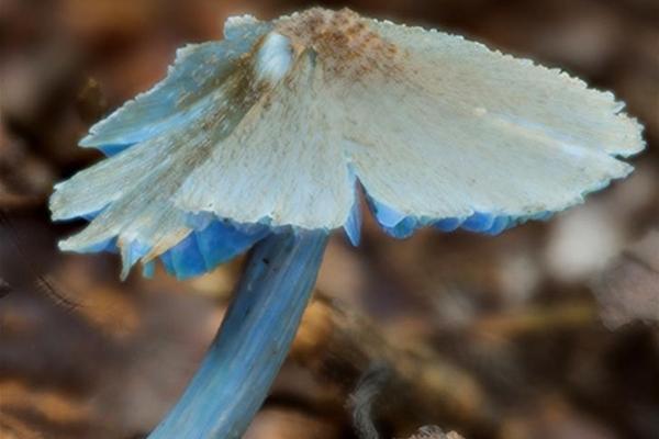 阿斯顿维拉vs曼联-万博体育(官网)官方网站-万博体育app官网下载-ManBetX