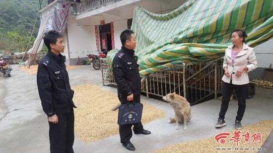 民警调查走访