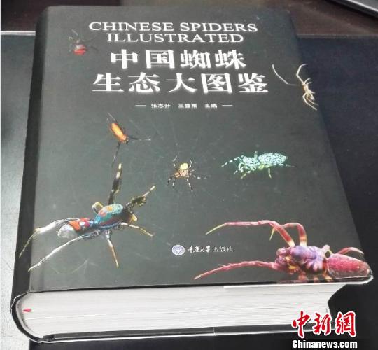 重庆高校研究团队出版全球首本蜘蛛类大型图鉴