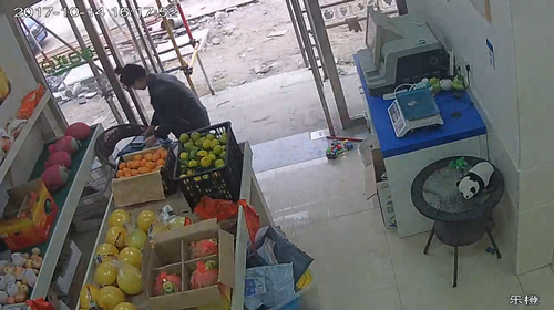 女子多次从奶茶店顺走快递 案值1000余元|奶茶