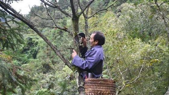 毛坝多少人口_夏朝有多少人口(2)