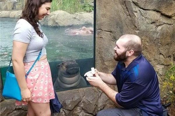 马航mh17客机-乐鱼app(leyu)官方网站-乐鱼官网