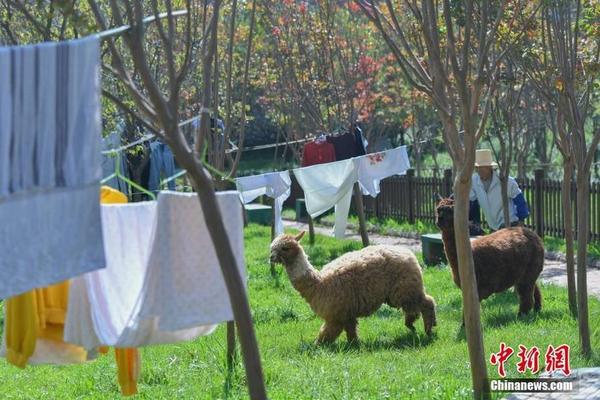 莫伊塞斯-乐鱼app(leyu)官方网站-乐鱼官网