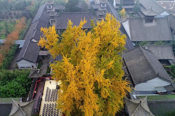 赵旭日-乐鱼app(leyu)官方网站-乐鱼官网