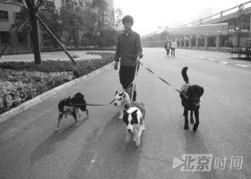 10月27日，彭群凌正在小区内为客户遛狗。