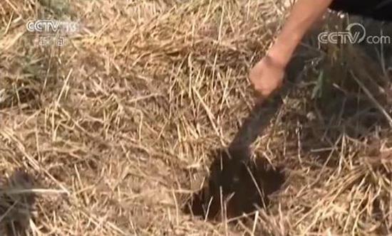 陕西破获古墓盗窃案 嫌疑人已经抓获