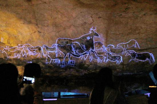 11月1日，上海科技馆二楼特展厅，观众在法国拉斯科洞穴壁画展上欣赏黑牛壁画。本文图片 澎湃新闻记者 赖鑫琳