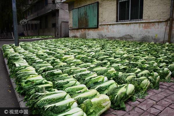 西班牙vs尼日利亚