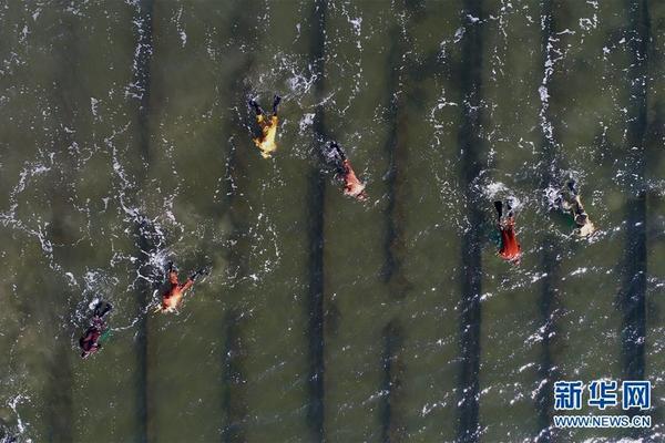 马特乌斯克林斯曼