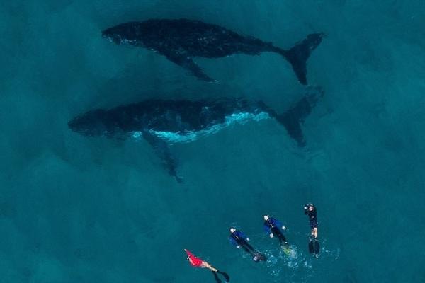 托雷斯妻子-爱游戏app（中国）官方网站下载_ayx体育app下载