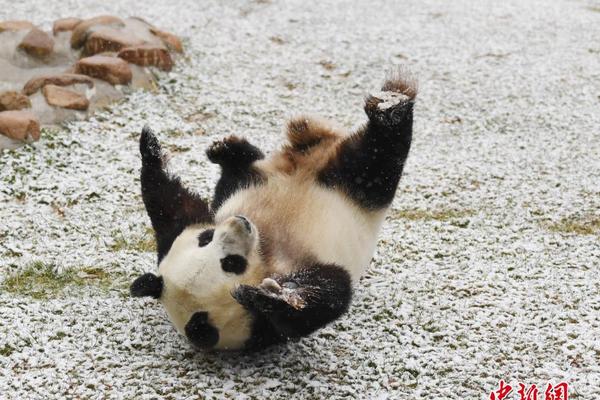 巴萨vs马德里竞技