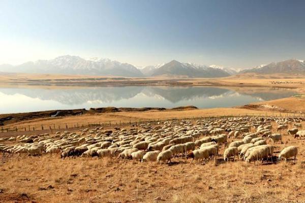 赵明剑-乐鱼app(leyu)官方网站-乐鱼官网