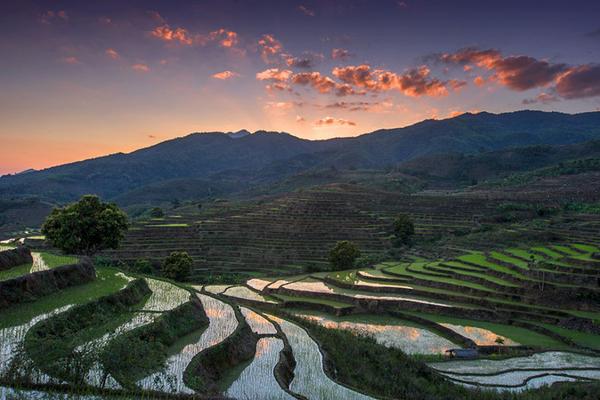 帕帕季莫斯-乐鱼app(leyu)官方网站-乐鱼官网