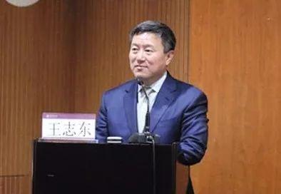 章莹颖案律师王志东