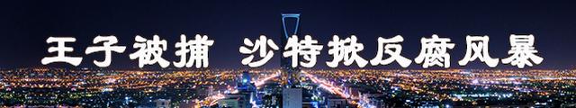 沙特成立新反腐机构 逮捕11名王子
