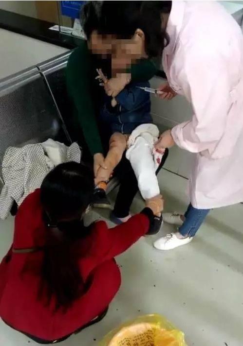 恶犬撕咬老人小孩:伤者无生命危险 狗主人已投案