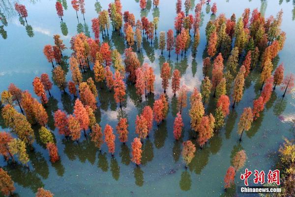 达沃苏克-乐鱼app(leyu)官方网站-乐鱼官网