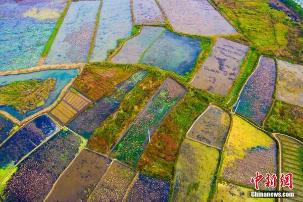 福布斯 中国名人榜-乐鱼app(leyu)官方网站-乐鱼官网