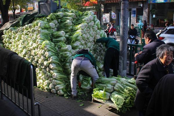 天下足球舍甫琴科
