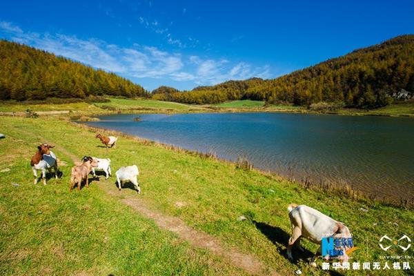 乌克兰vs马其顿-乐鱼app(leyu)官方网站-乐鱼官网