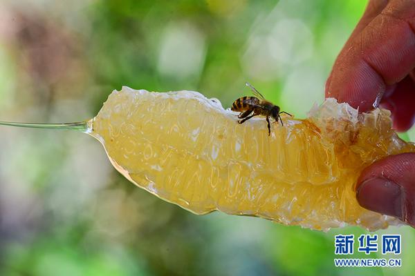 足球壁纸-乐鱼app(leyu)官方网站-乐鱼官网