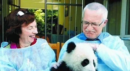 2004年4月20日，捷克总统克劳斯夫妇参观成都大熊猫繁育研究基地。