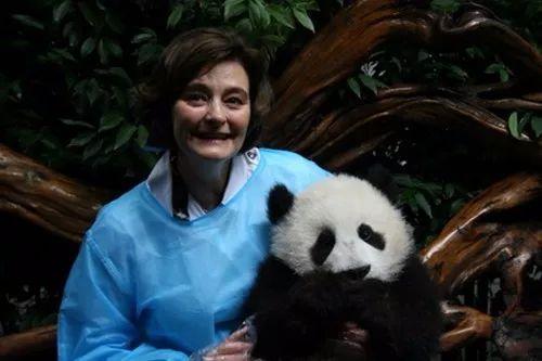 2011年，英国前首相布莱尔的夫人切丽·布莱尔与熊猫合影。