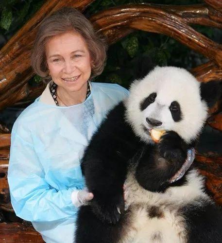2007年，西班牙王后索菲娅来到成都大熊猫繁育基地参观。