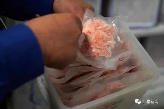 ▲冰凍的大腦切片。圖據路透社