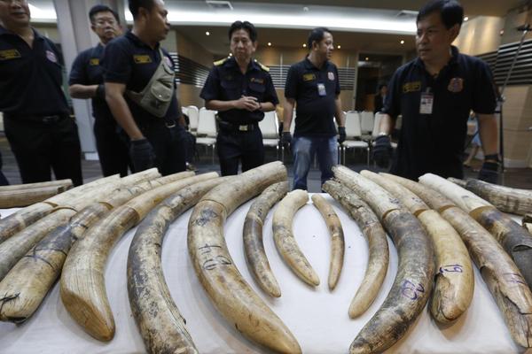 拜仁中国行-万博体育(官网)官方网站-万博体育app官网下载-ManBetX