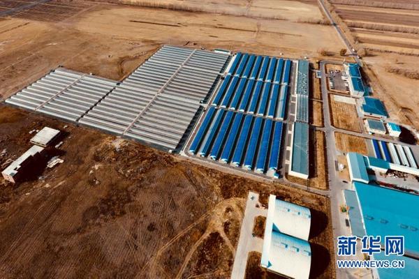 c罗的红色记忆-乐鱼app(leyu)官方网站-乐鱼官网