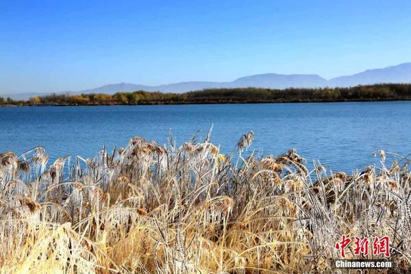 nba结果-乐鱼app(leyu)官方网站-乐鱼官网