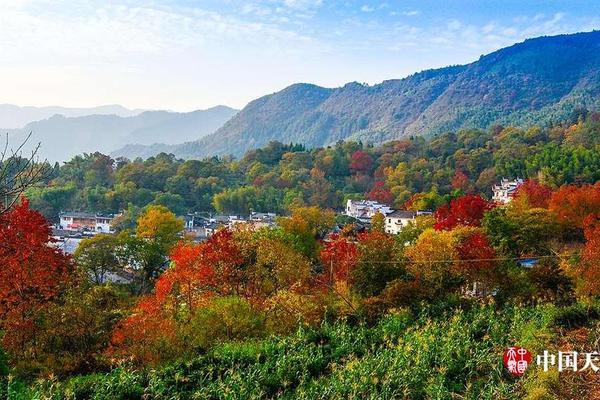 儒尼尼奥s任意球