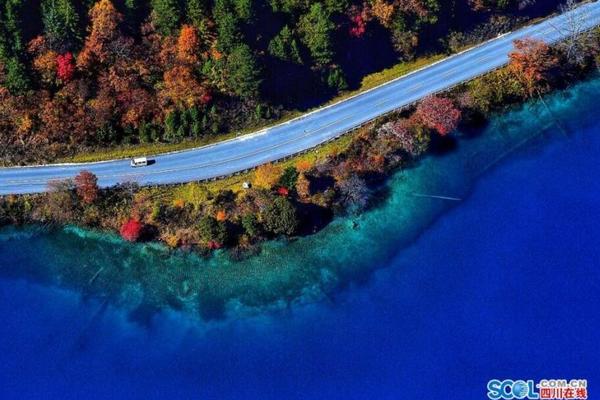 nba打架事件高清-乐鱼app(leyu)官方网站-乐鱼官网