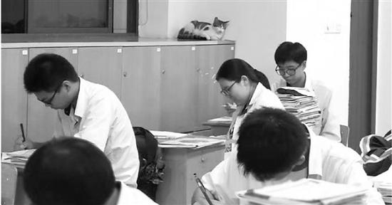 学生们自修时,流浪猫常常出现。