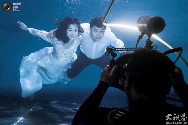 迪诺巴乔-乐鱼app(leyu)官方网站-乐鱼官网