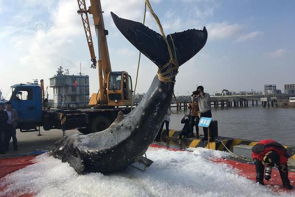 德甲球队分布图