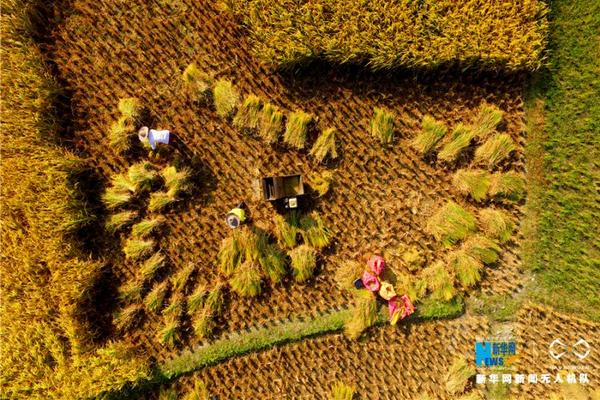 阿根廷 尼日利亚-乐鱼app(leyu)官方网站-乐鱼官网