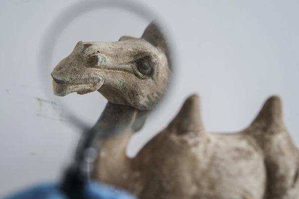 皮尼利亚-乐鱼app(leyu)官方网站-乐鱼官网