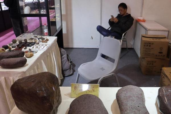 法布雷加斯转会-万博体育(官网)官方网站-万博体育app官网下载-ManBetX