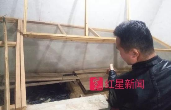 湖南永州，蛇棚内，工作人员向记者展示“异蛇”    图片来源：红星新闻