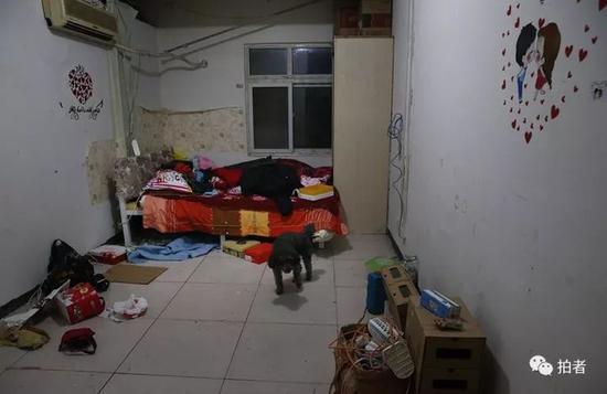 　　▲2017年11月22日凌晨，丰台区久敬庄翰林公寓，一家租户运送一批物品走了，门开着，一只狗狗被拴在床边。摄影/新京报记者尹亚飞