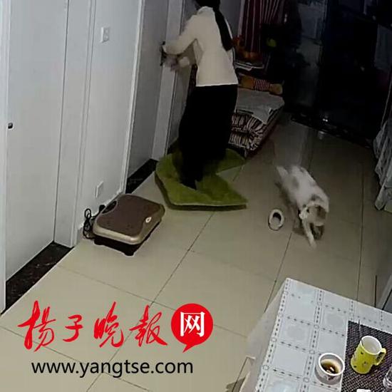 男子将女子按在沙发上