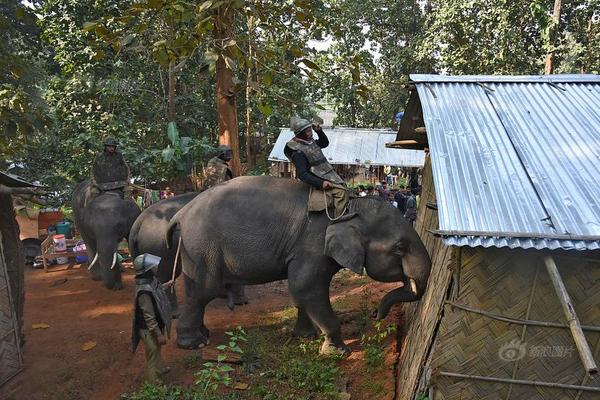 奥科查-乐鱼app(leyu)官方网站-乐鱼官网