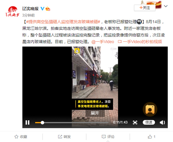 提供高空坠猫砸人监控理发店玻璃被砸 老板:已报警