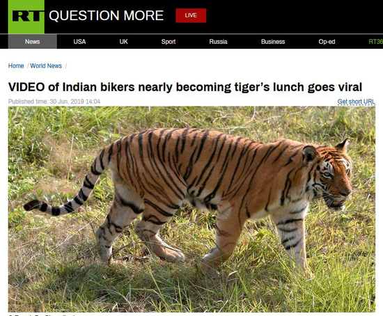 老虎视频 c7d9-hzfeken5548026.png