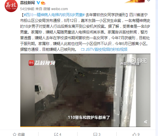 精神病人电梯内砍死8岁男童 去年曾砍伤女同学获缓刑