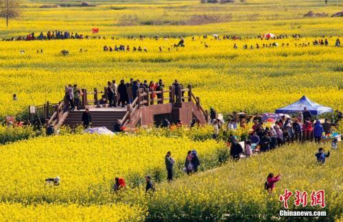 4月7日清明小长假最后一天，江苏兴化千垛景区赏花观景的人流如潮。 汤德宏 摄