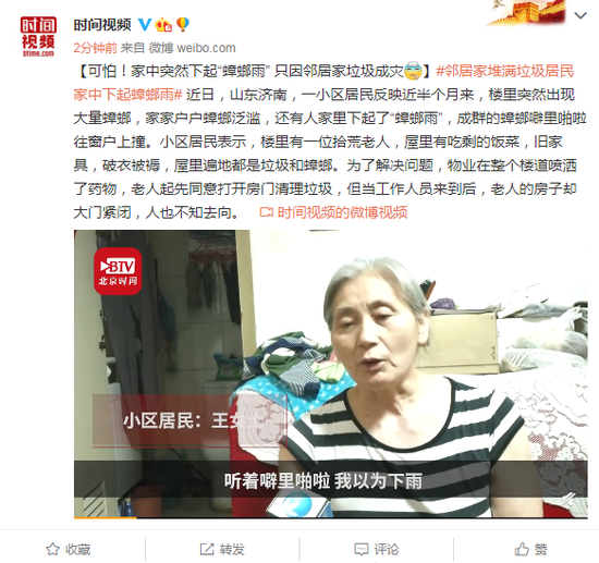 居民家中突然下起“蟑螂雨” 只因邻居家垃圾成灾
