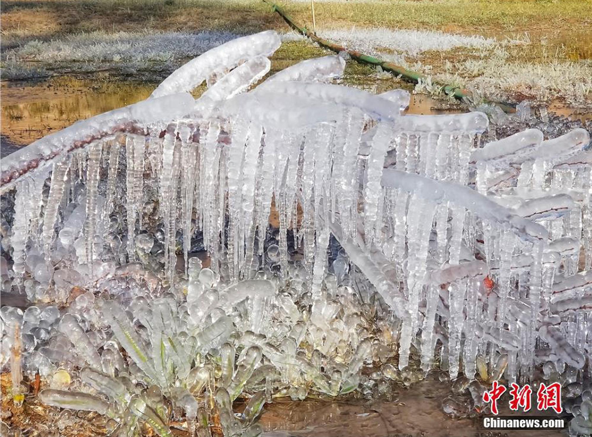 如何取扫地机的水箱